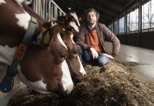 Hidde Boersma: ‘Huidige duurzaamheidsframe deugt niet’