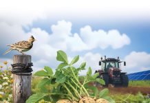 True Value en True Pricing komen eraan