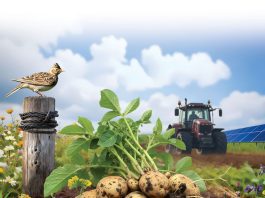 True Value en True Pricing komen eraan