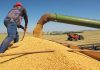 Brazilië: Europa’s ongemakkelijke partner