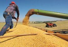 Brazilië: Europa’s ongemakkelijke partner