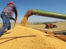 Brazilië: Europa’s ongemakkelijke partner