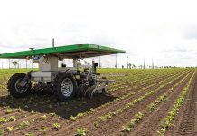 ‘We gaan richting glasteelt, maar dan zonder glas’