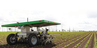 ‘We gaan richting glasteelt, maar dan zonder glas’