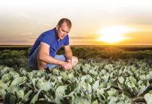 ‘We doen kennis op waar iedereen straks wat aan heeft’