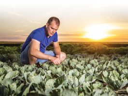 ‘We doen kennis op waar iedereen straks wat aan heeft’