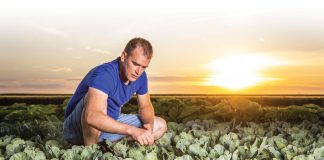 ‘We doen kennis op waar iedereen straks wat aan heeft’