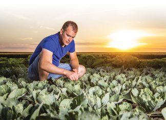 ‘We doen kennis op waar iedereen straks wat aan heeft’