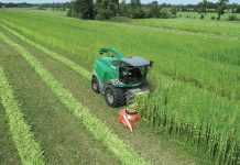 Teelt voor biobased bouw vraagt lef en geduld