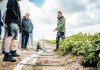 Eigen zoetwater op Texel