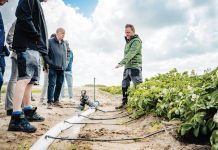Eigen zoetwater op Texel