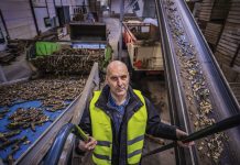 ‘Hoge energieprijs ondermijnt exportpositie’