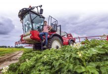 ‘Ze lijken stapelgek geworden in Den Haag’