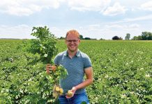 ‘Hopen dat meerwaarde leveren in de toekomst loont’