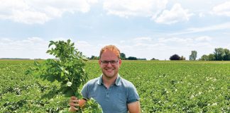 ‘Hopen dat meerwaarde leveren in de toekomst loont’