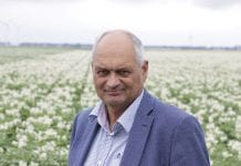 ‘Hakken in het zand? Nee joh, pak de kansen’