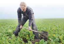Simon Wilms op zoek naar het perfecte teeltjaar
