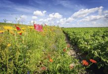Akkerbouw pakt regie over eigen toekomst