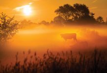 Landbouwsector moet slimmer gaan acteren