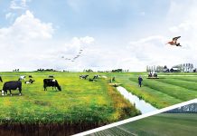 Wat is beter: landsharing of landsparing?