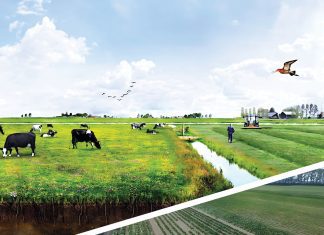 Wat is beter: landsharing of landsparing?