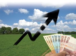 Op naar € 300.000 voor een hectare grond?